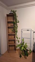 Bookshelf IKEA Boekenkast - Nieuwstaat!, Met plank(en), Minder dan 50 cm, 200 cm of meer, Ophalen of Verzenden