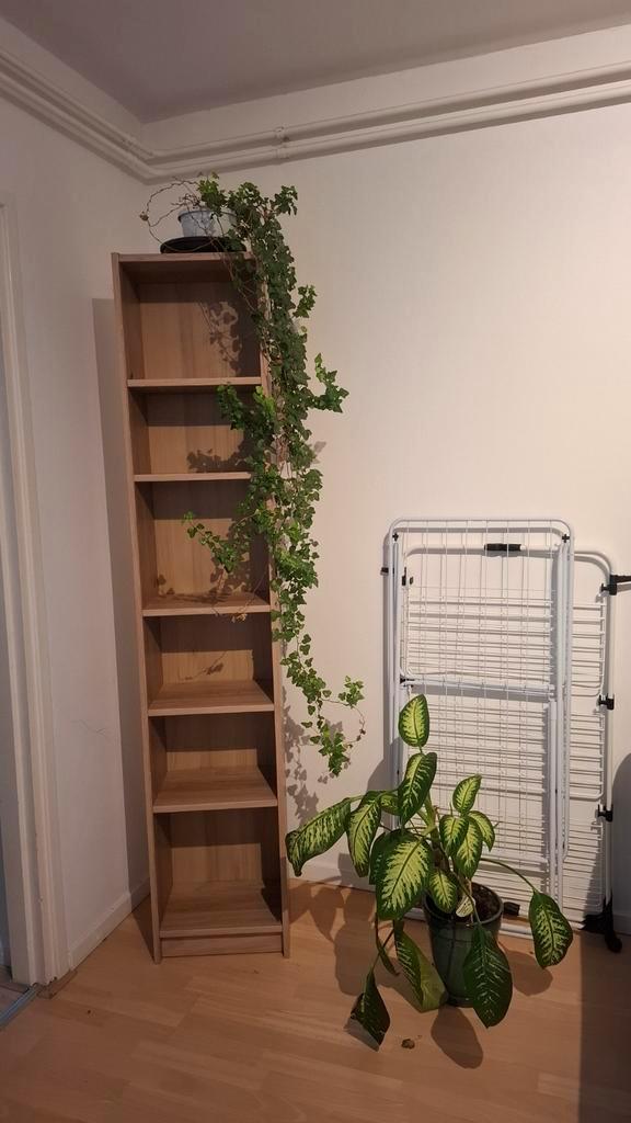 Bookshelf IKEA Boekenkast - Nieuwstaat!, Huis en Inrichting, Kasten | Boekenkasten, Zo goed als nieuw, Minder dan 50 cm, 200 cm of meer
