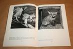 Mickie, het Vosje. Uitgave 1957., Boeken, Ophalen of Verzenden, Gelezen, Honden