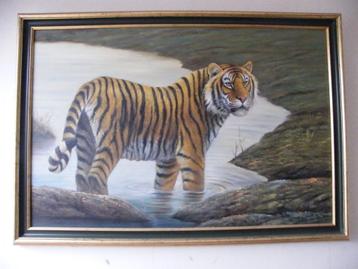 Schilderij Tijger - Olieverf, lijst goud verguld beschikbaar voor biedingen
