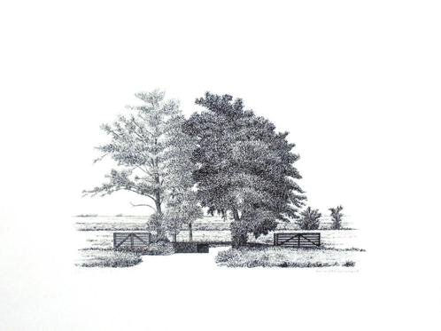 Sees Vlag.1934-2018.Krimpenerwaard.1980., Antiek en Kunst, Kunst | Etsen en Gravures, Ophalen