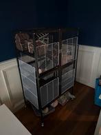 Rattenkooi 3 verdiepingen incl speelatributen, Dieren en Toebehoren, Ophalen, Kooi, 90 cm of meer, Hamster