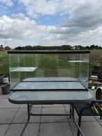 Glazen hok voor kleine knaagdiertjes, Minder dan 60 cm, Gebruikt, Ophalen of Verzenden, Hok