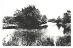 990550 Nieuw-Beijerland 1969 ZH De Kreek Gelopen met post