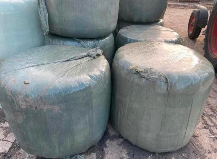 Midi balen, Dieren en Toebehoren, Dierenvoeding, Vee, Ophalen