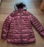 Barbara Lebek winterjas, maat 38 M, Kleding | Dames, Jassen | Winter, Maat 38/40 (M), Bruin, Nieuw, Ophalen of Verzenden
