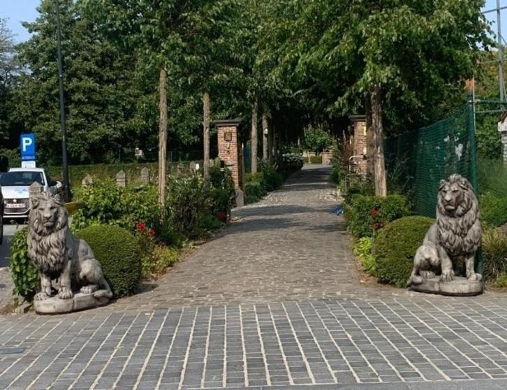 Kolossale set leeuwen, Tuin en Terras, Tuinbeelden, Nieuw, Dierenbeeld, Beton, Ophalen