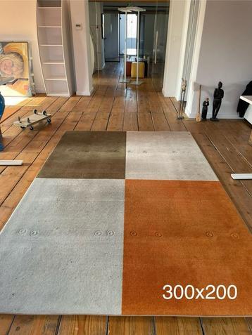 Kleed 300 cm 200 cm beschikbaar voor biedingen