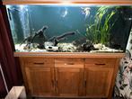 Aquarium 450 liter compleet met vis bestand en toebehoren, Gebruikt, Ophalen, Gevuld zoetwateraquarium