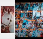 Penny, Boeken, Ophalen of Verzenden, Gelezen, Overige typen