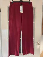 &co woman andcowoman and cowoman broek wijnrood xl travel, Kleding | Dames, Maat 46/48 (XL) of groter, Nieuw, Ophalen of Verzenden