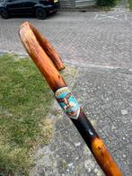 Wandelstok met VALKENBURG schildje, Ophalen of Verzenden, Gebruikt
