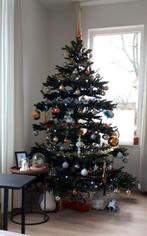 Kunst kerstboom, Triumph tree, 200 cm, Ophalen