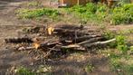 Brandhout, Tuin en Terras, Haardhout, Minder dan 3 m³, Ophalen, Overige houtsoorten, Blokken
