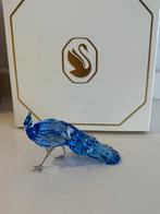 Swarovski palawanspiegelpauw scs, Ophalen of Verzenden, Nieuw, Figuurtje