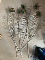 6 pauwenveren 1m, Ophalen, Zo goed als nieuw