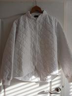 Nieuwe Thermo Bedrijfsjack, Ophalen of Verzenden, Nieuw, Maat 52/54 (L)