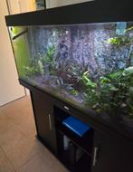 aquarium Juwel 450 Rio compleet, Dieren en Toebehoren, Ophalen, Zo goed als nieuw, Leeg aquarium