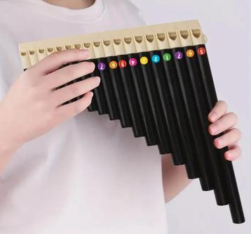 18-buis zwarte Panfluit met Draagtas beschikbaar voor biedingen