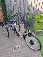 PFAU-TEC Comfort Elektrische Driewieler fiets, Fietsen en Brommers, Ophalen, Zo goed als nieuw, PFAU-TEC COMFORT
