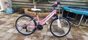 Nette citybike 24 inch wielen. beschikbaar voor biedingen