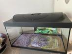 Aquarium met complete uitrusting, Ophalen, Nieuw, Leeg aquarium
