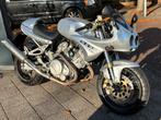 Voxan Caferacer, 2 cilinders, Sportuitlaat, Sport, Voxan