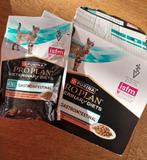 Purina pro plan gastrointestinal kattenvoer, Ophalen, Kat
