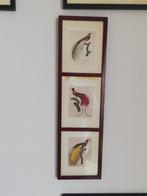 Stijlvolle lijst, Minder dan 50 cm, Gebruikt, Ophalen of Verzenden, Minder dan 50 cm