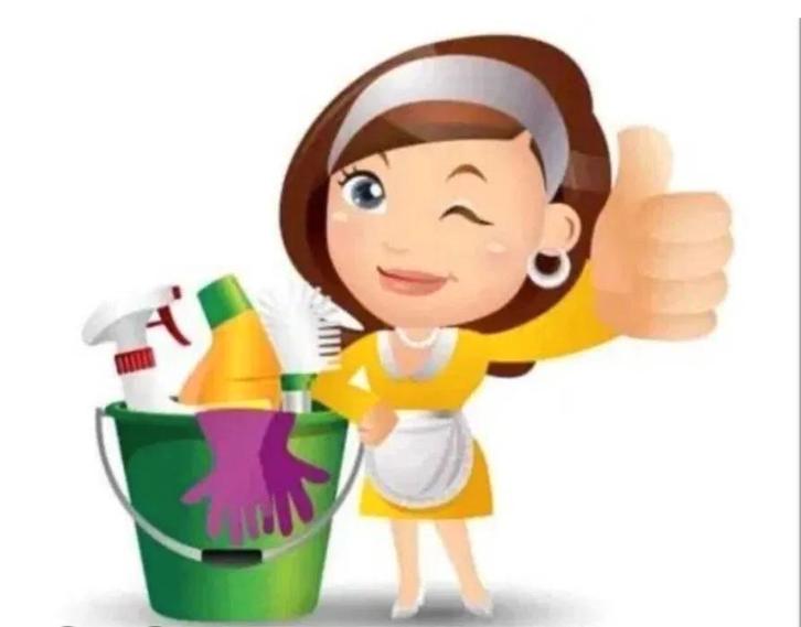 Hulp bij het schoonmaken veghel/Uden, Diensten en Vakmensen, Schoonmakers en Glazenwassers, Schoonmaken woning