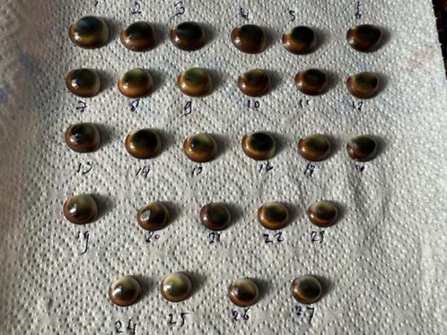 27 Mata Bias van het eiland Supiori bij Biak. € 10,00 per st, Verzamelen, Mineralen en Fossielen, Schelp(en), Ophalen of Verzenden