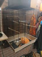 Vogelkooi binnen en buiten inclusief toebehoren, Dieren en Toebehoren, Vogels | Hokken en Kooien, Ophalen, Gebruikt, Overige materialen
