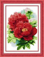 # Groot compleet borduurpakket; Pioenroos - big red #, Ophalen of Verzenden, Nieuw, Handborduren, Borduurpakket