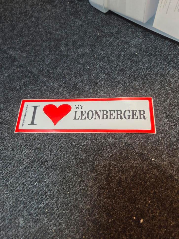 Sticker i love my leonberger, Auto diversen, Autostickers, Ophalen of Verzenden