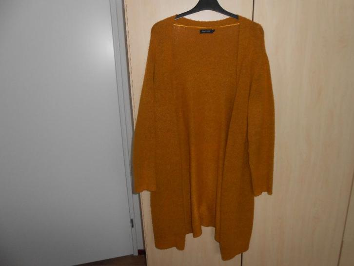 Lang okergeel vest maat L van Pescara, Kleding | Dames, Truien en Vesten, Gedragen, Maat 42/44 (L), Geel, Ophalen of Verzenden