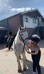 Verzorgster aangeboden, Dieren en Toebehoren, Ophalen, Zo goed als nieuw