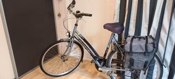 Stevige damesfiets,Gazelle, BAHIA ,met fietstassen,zadeldekj beschikbaar voor biedingen