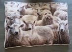 Te koop nieuwe honden kussen  zie foto, Ophalen, Nieuw