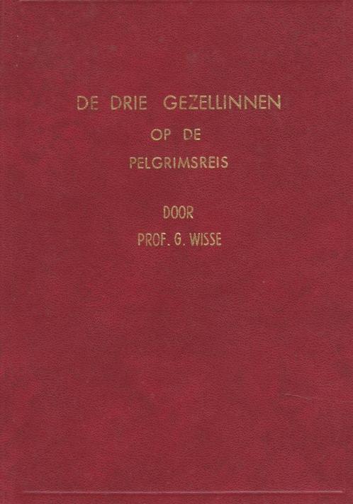Prof.G.Wisse - De drie gezellinnen op de pelgrimsreis, Boeken, Godsdienst en Theologie, Gelezen, Ophalen of Verzenden