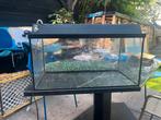 Terrarium. Gratis, Ophalen, Gebruikt, Overige typen