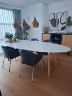 Grote ovale eettafel te koop, Huis en Inrichting, Tafels | Eettafels, Ophalen, Gebruikt, 100 tot 150 cm, 200 cm of meer