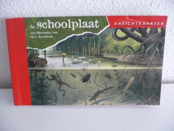 Schoolplaat ansichtkaarten. Boekje met 16 stuks. beschikbaar voor biedingen