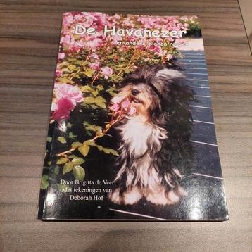 De Havanezer en andere Bichon rassen - Hond beschikbaar voor biedingen