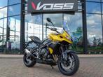 Triumph TIGER SPORT 800 (bj 2025), Motoren, Motoren | Triumph, Bedrijf, Sport, Meer dan 35 kW