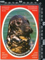Sticker: Zeehondenopvangcentrum Texel, Verzamelen, Stickers, Verzenden, Zo goed als nieuw, Dier en Natuur