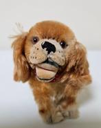 Steiff spaniel hond hondje jaren 50 antiek oud mohair, Ophalen of Verzenden