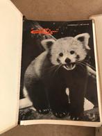 Hele oude jaargang artis tijdschrift van 1955 t/m 1968, Ophalen of Verzenden, Gelezen, Overige typen
