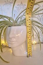 Design Bloempot Hoofd Keramiek  Gezicht Plantenpot Decoratie, Ophalen, Zo goed als nieuw, Binnen