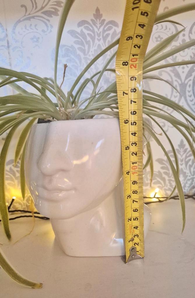 Design Bloempot Hoofd Keramiek  Gezicht Plantenpot Decoratie, Huis en Inrichting, Woonaccessoires | Kunstplanten en Kunstbloemen