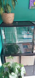 Glazen terrarium, Ophalen, Zo goed als nieuw